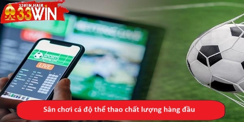 Sân chơi cá độ thể thao chất lượng hàng đầu