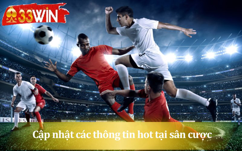 Cược thủ thường xuyên cập nhật các thông tin hot tại sân cược
