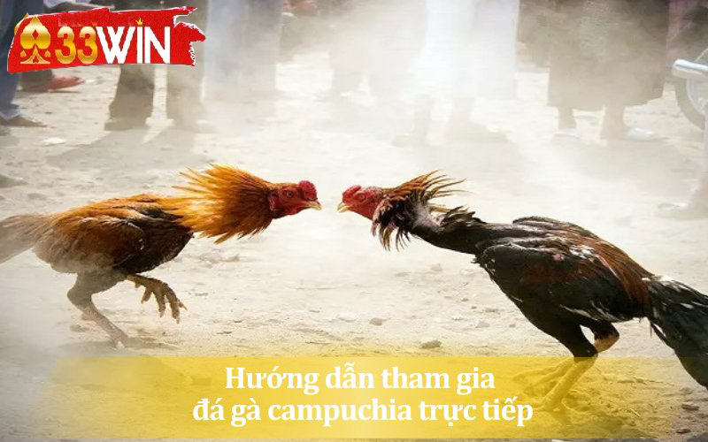 Hướng dẫn kê thủ cách  tham gia đá gà campuchia