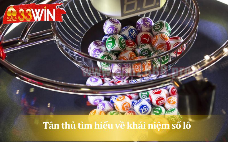 Tân thủ tìm hiểu về khái niệm số lô