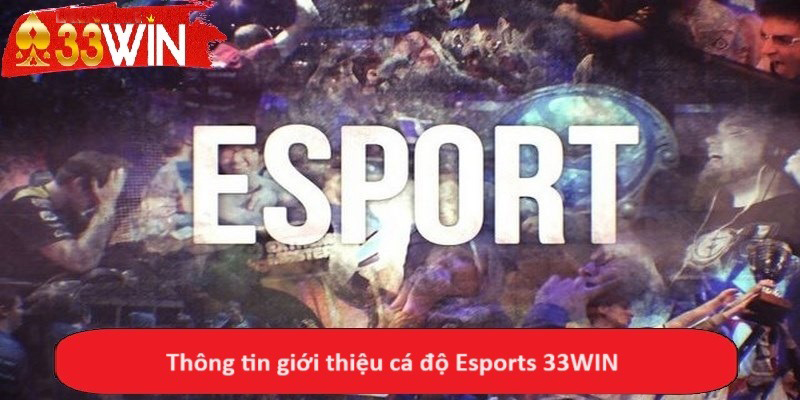 Thông tin giới thiệu cá độ Esports 33WIN