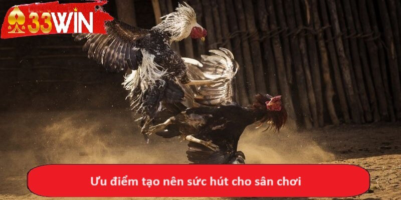 Ưu điểm tạo nên sức hút cho sân chơi