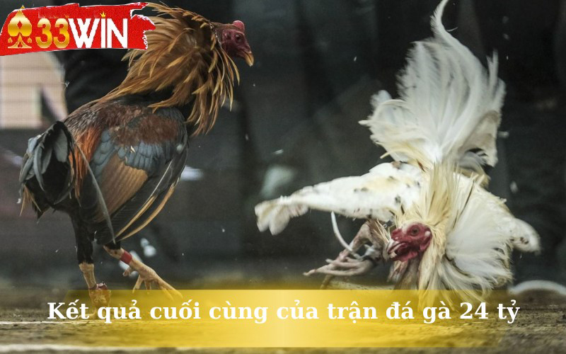 Kết quả cuối cùng của trận đá gà 24 tỷ