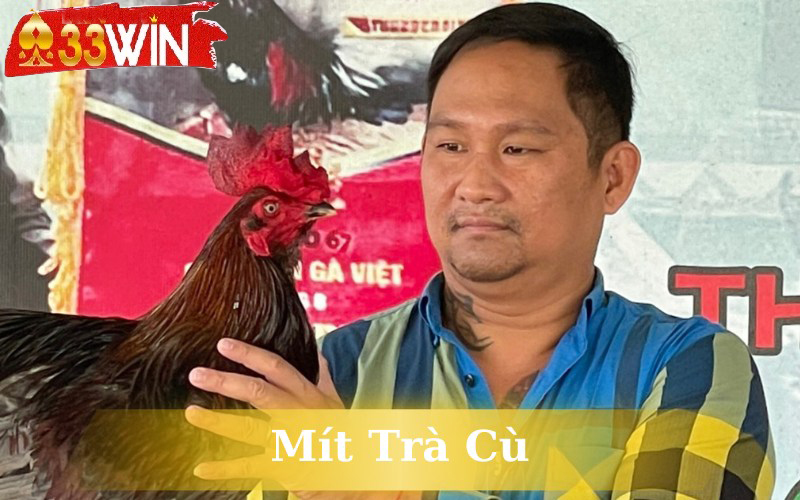 Mít Trà Cù
