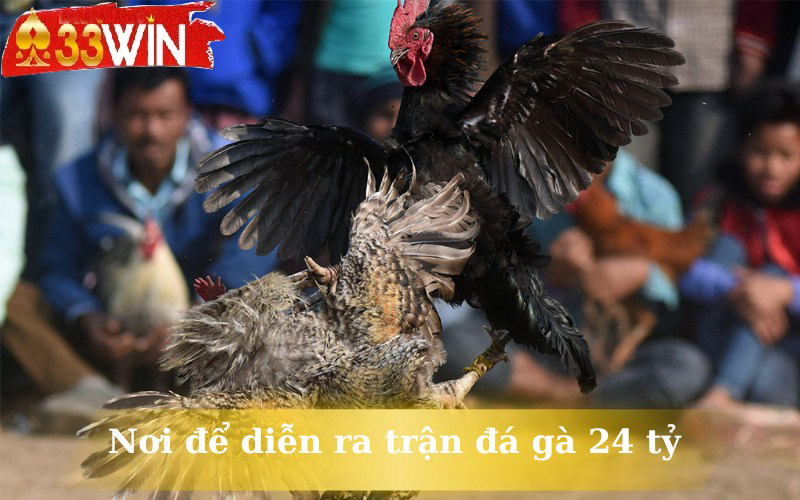 Nơi để diễn ra trận đá gà 24 tỷ