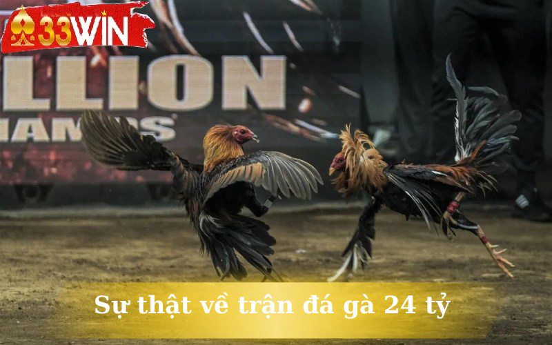 Sự thật về trận đá gà 24 tỷ